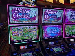 92pkr11 Sportsbook
